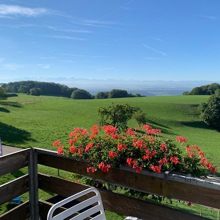 阿尔潘布里克餐厅酒店 Wolfisberg 外观 照片